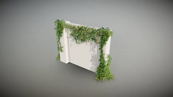 常春藤  植物 景观树 绿色植物 绿植 花卉
