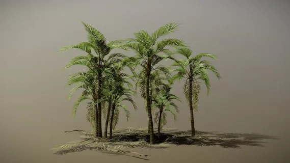 热带植物 景观树 绿色植物 绿植 花卉