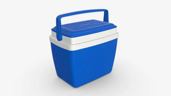 带把手的冷却箱 现代保温箱 箱子 塑料箱子 车载冰箱 冷藏箱 工具箱 手提式 保鲜箱