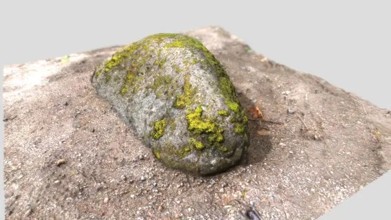 长满苔藓的岩石 