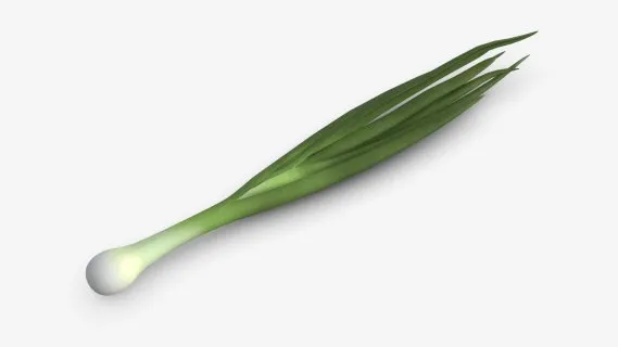 大葱 葱花 香葱 小葱 细葱 写实大葱 葱 蔬菜 调味品