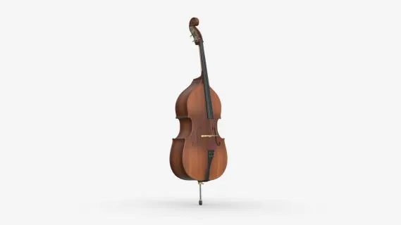大提琴 低音提琴 乐器 低音大提琴 贝斯 Double Bass