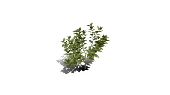 现代灌木树篱植物 绿植灌木丛 绿树 茂盛灌木模型 木槿灌木