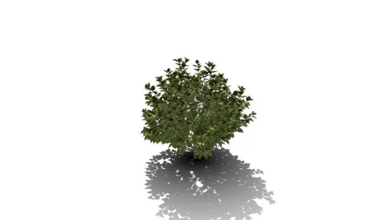 现代灌木树篱植物 绿植灌木丛 绿树 茂盛灌木模型 木槿灌木