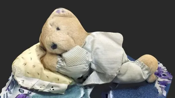 瞌睡熊