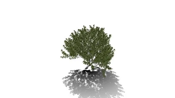 现代灌木树篱植物 绿植灌木丛 绿树 茂盛灌木模型 木槿灌木