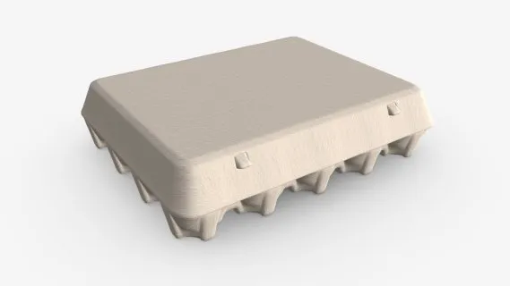 鸡蛋纸板包装盒 鸡蛋盒 食品包装盒子 鸡蛋纸盒包装盒3d模型
