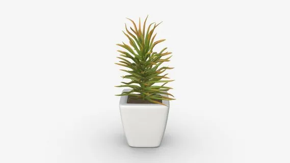 绿植花瓶 花盆 盆栽绿植 装饰物 盆栽小品 花卉