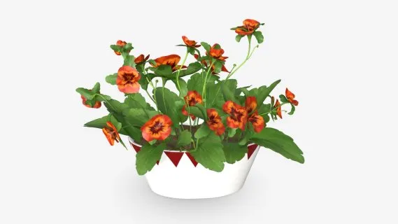 绿植花瓶 花盆 盆栽绿植 装饰物 盆栽小品 花卉