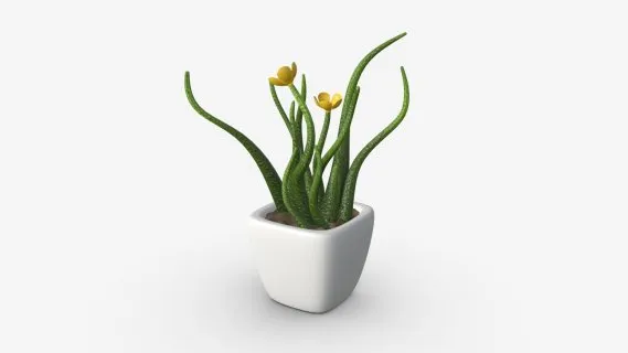 绿植花瓶 花盆 盆栽绿植 装饰物 盆栽小品 花卉