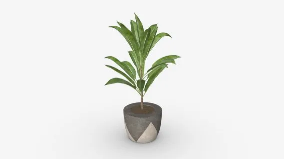 绿植花瓶 花盆 盆栽绿植 装饰物 盆栽小品