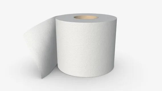 单卷卫生纸 纸巾包 卷纸 卫生纸卷 厕纸 生活用品