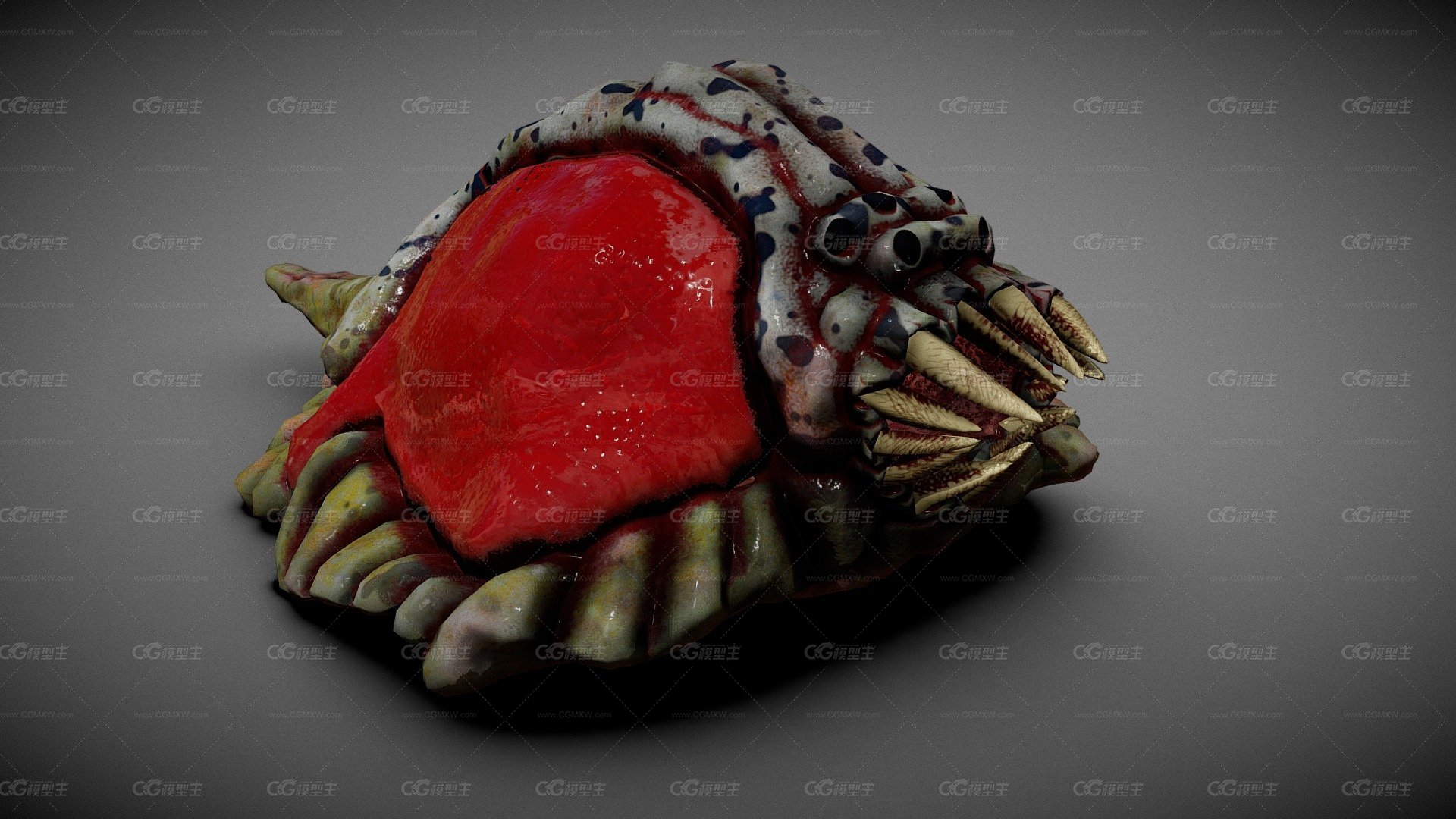 Leech-1