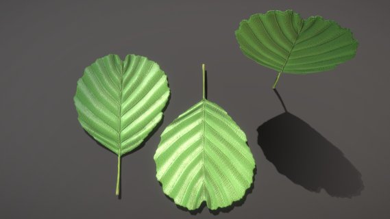 黑Alder Leaf（High Poly）（WIP-1）