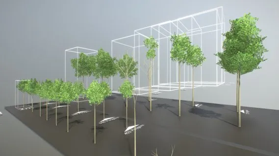 黑Alder树（WIP-3）