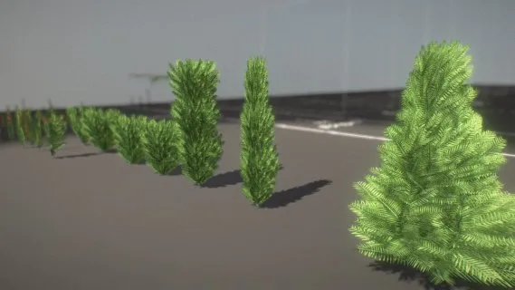 紫杉树WIP-2