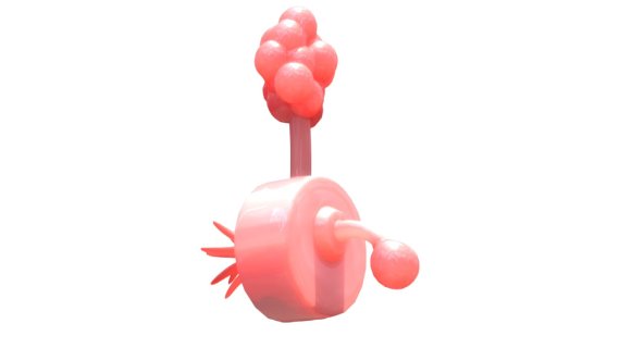 Plumbus