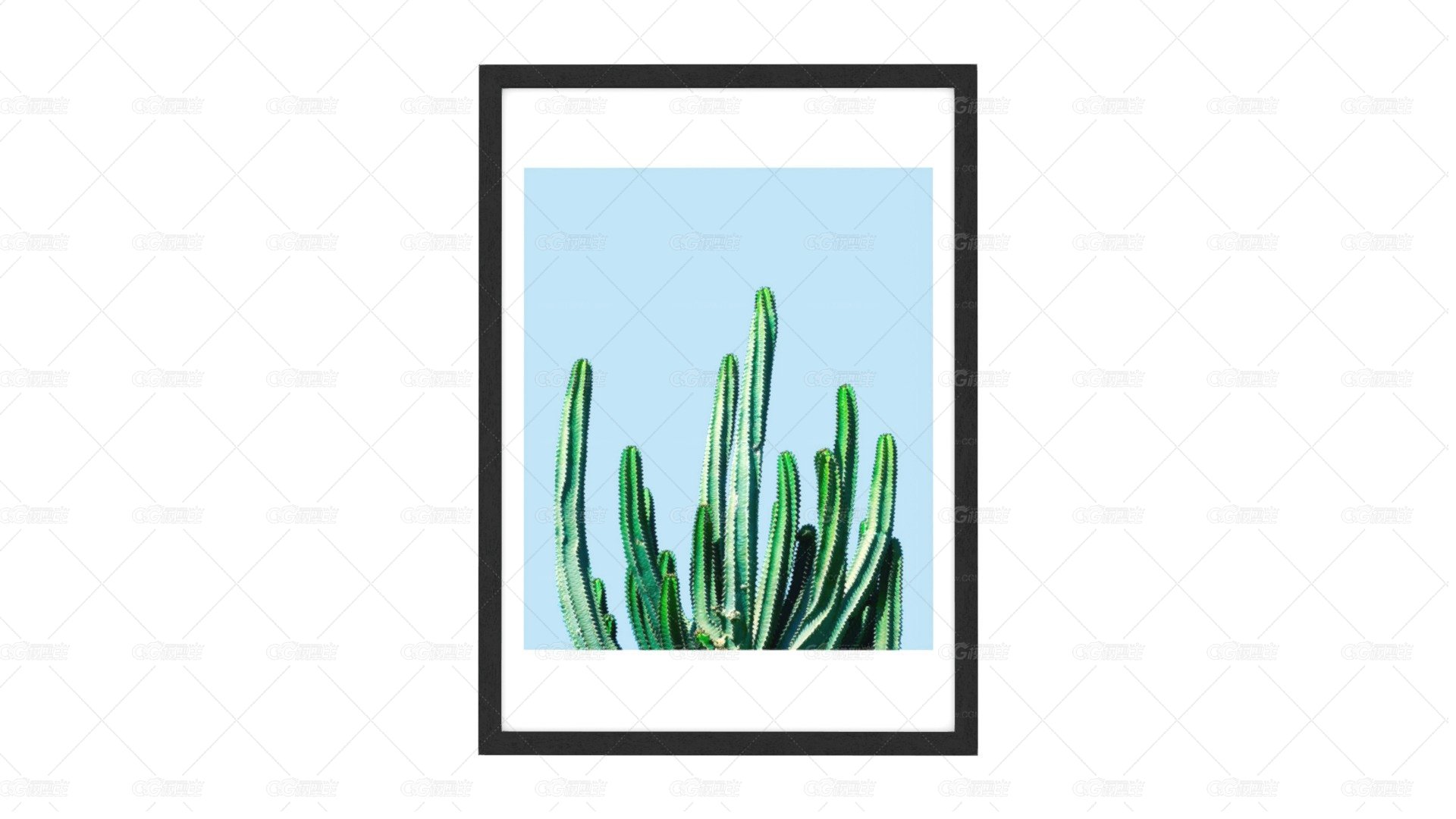 Cactus by 83 Oranges，65 x 90厘米-1