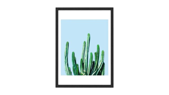 Cactus by 83 Oranges，65 x 90厘米