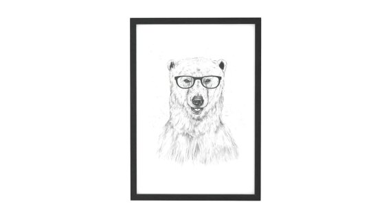 Balazs Solti的Geek Bear，42 x 59厘米