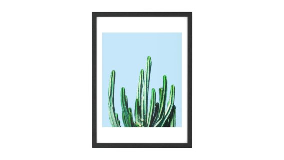 Cactus by 83 Oranges，48 x 65厘米