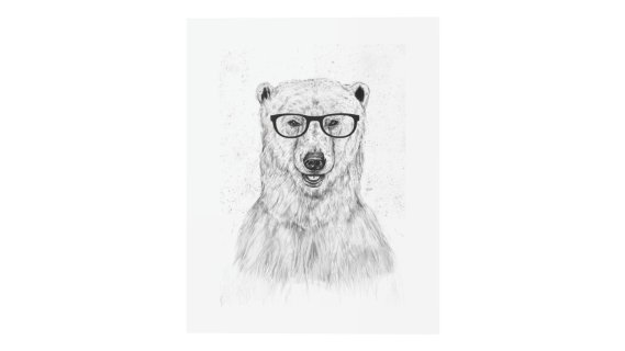 Balazs Solti的Geek Bear，40 x 50厘米