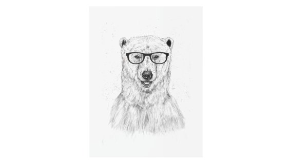 Balazs Solti的Geek Bear，30 x 40厘米