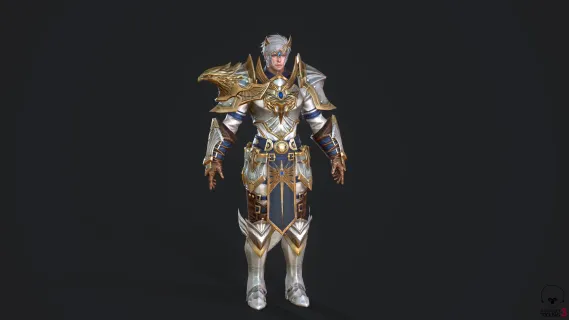 黑暗骑士 游戏服装 铠甲战士 护卫 领主侍卫  盔甲战士 装甲士兵 重装骑士 大将军 武将 部落战士 圣骑士 传奇时装16