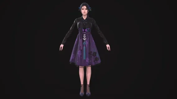 韩系美女 透视装 韩服 韩式 韩国古代贵族 韩国民族 服装 朝鲜族 北朝鲜 南朝鲜御姐