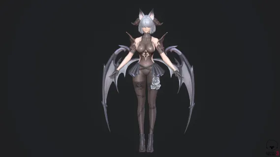 性感蕾丝内衣美女 日韩风 御姐萝莉 猫耳女郎 蝙蝠装黑丝女人 带骨骼 女妖 女王 精灵女公主