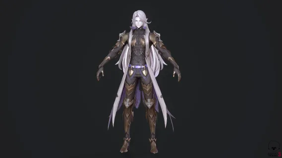 精灵王子 男神 帅哥 贵族 小哥哥 中世纪 二次元 动漫 骑士 剑客 魔神 暗夜王子