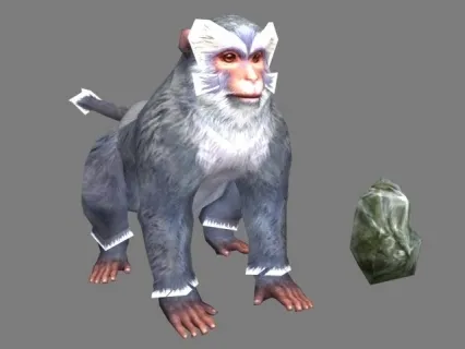 猴子
