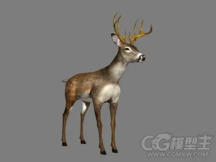 梅花鹿3D模型