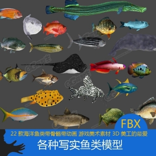 各种写实鱼3D模型带绑定动画 海鱼 金鱼