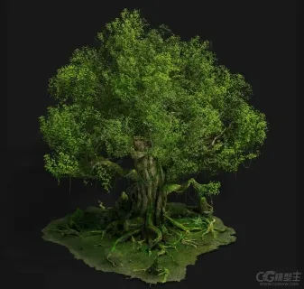 参天大树3D游戏模型
