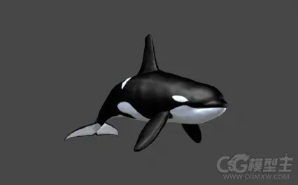 海豚3D模型