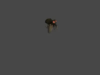 苍蝇 红眼苍蝇 蚊子3D模型 有绑定动画