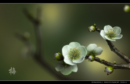 梅花