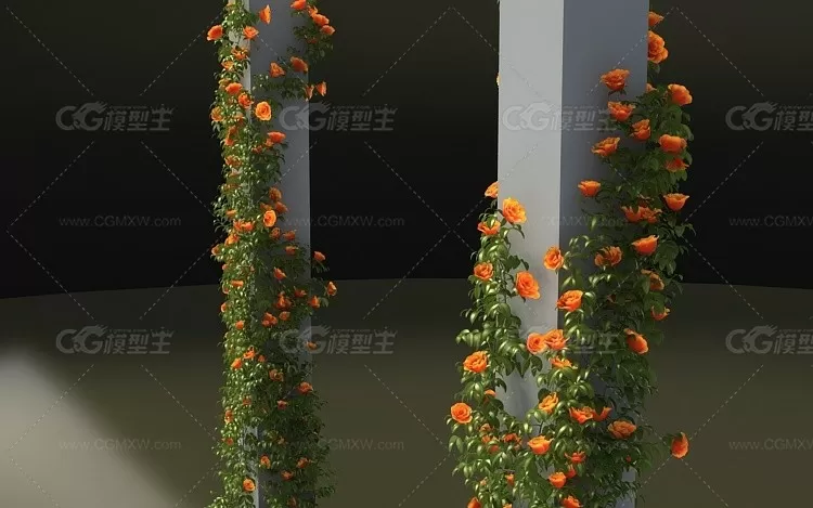 3dmax2011写实柱子上的藤蔓植物花朵爬山虎四-2