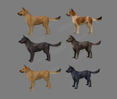 旺财-3d模型 土狗 牧羊犬 秋田犬 狗狗 灰色狗狗