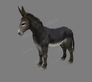 毛驴-3d模型