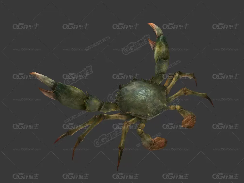 螃蟹20级3d模型-1