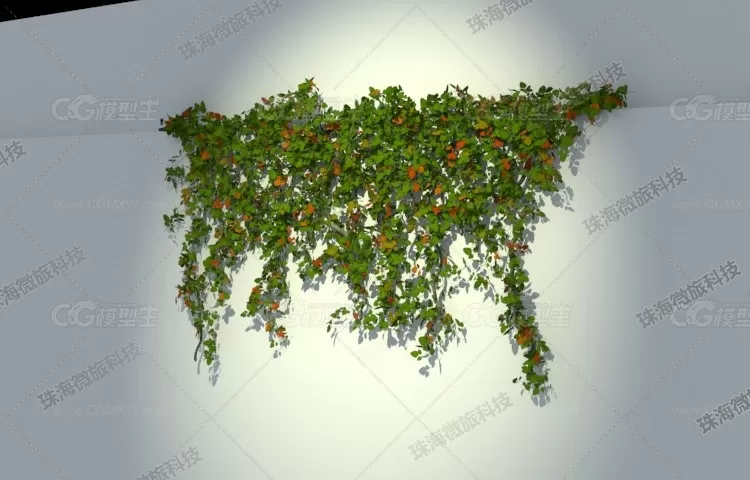 3dmax2011墙上的藤蔓植物爬山虎五MultiScatter插件制作-2