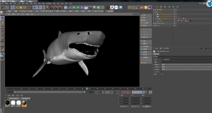 C4D鲨鱼模型带材质