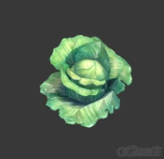 大白菜