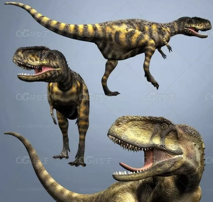 C4D腔骨龙模型含绑定Coelophysis-1