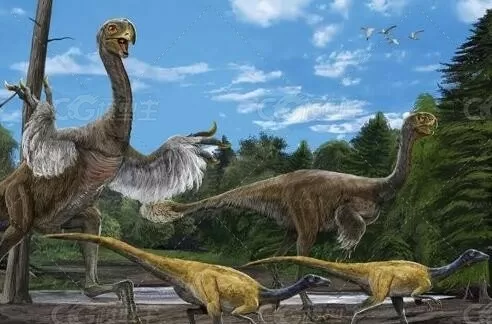 C4D巨盗龙模型含绑定Gigantoraptor-1