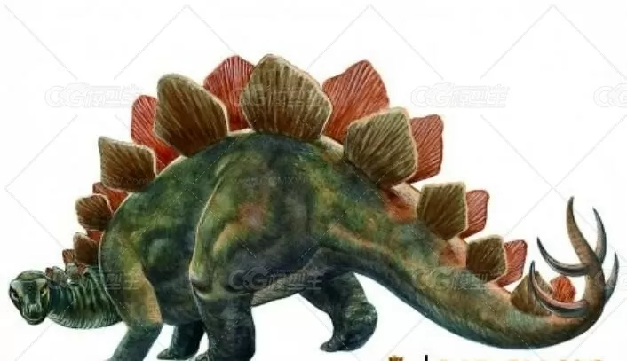 C4D剑龙模型含绑定Stegosaurus-1