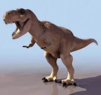 C4D霸王龙模型含绑定Tyrannosaurus