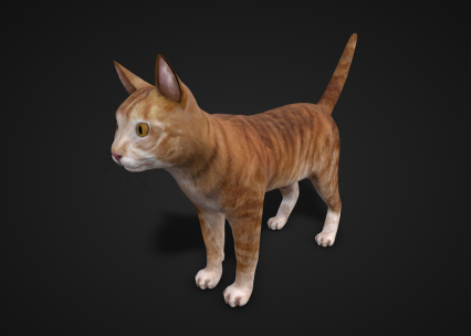 小黄猫模型Cat 3d model